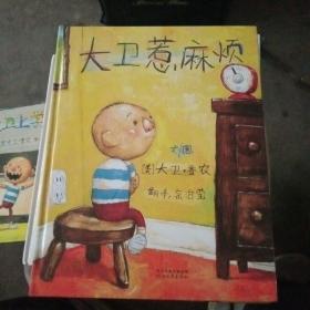 启发精选国际大师名作绘本：大卫惹麻烦，大卫,不可以，大卫上学去（3本合售）