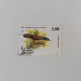 外国邮票 斯里兰卡邮票1993年动物鸟类 信销1枚 如图瑕疵