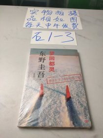 东野圭吾作品：梦回都灵