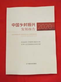 中国乡村振兴发展报告(2020)