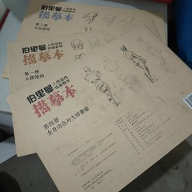 经典全集伯里曼人体结构绘画教学描摹本（套装共1.2.4三本