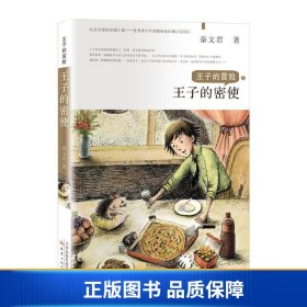 王子的冒险——王子的密使