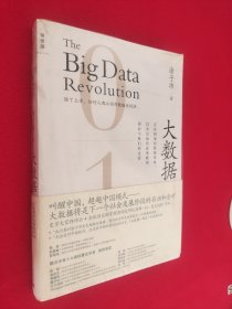 大数据：正在到来的数据革命，以及它如何改变政府、商业与我们的生活