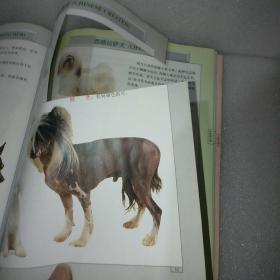 世界冠军名犬珍藏本