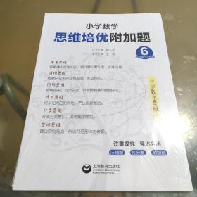 小学数学思维培优附加题（六年级）