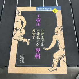 王树田专辑：八卦连环掌、八卦龙形剑、对擒拿