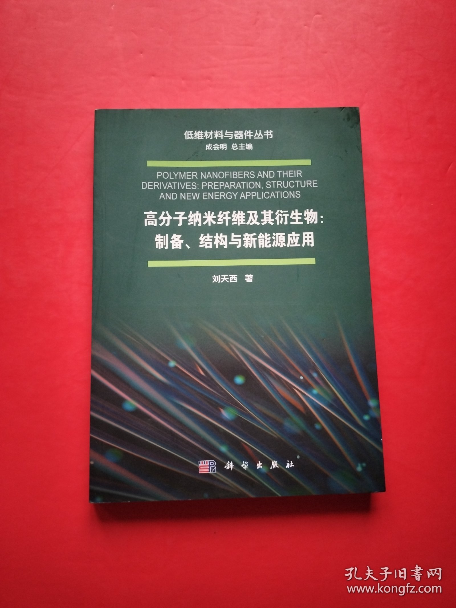 高分子纳米纤维及其衍生物：制备、结构与新能源应用【书内干净】