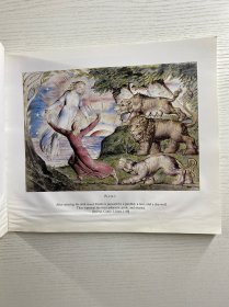 William Blake’s Divine Comedy Illustrations 《威廉·布莱克〈神曲〉插画集》 ，书中包含102幅全彩插画（102 Full - Color Plates ），由多佛出版公司（DOVER PUBLICATIONS, INC)威廉·布莱克是英国著名诗人、画家，这里呈现的是他为但丁《神曲》创作的插画相关内容 。