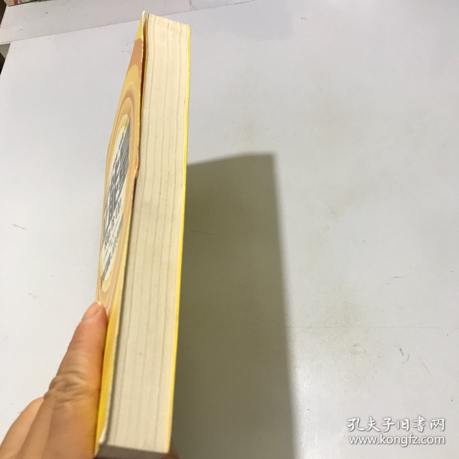 正能量：坚持正能量，人生不畏惧