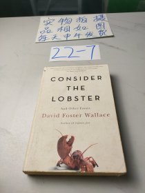 Consider the Lobster and Other Essays