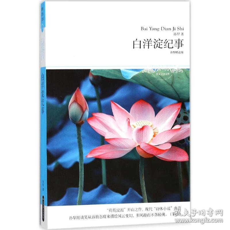 白洋淀纪事
