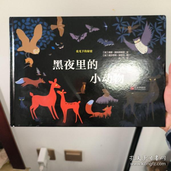 夜光下的秘密系列：黑夜里的小动物夜行动物图鉴蒲蒲兰绘本