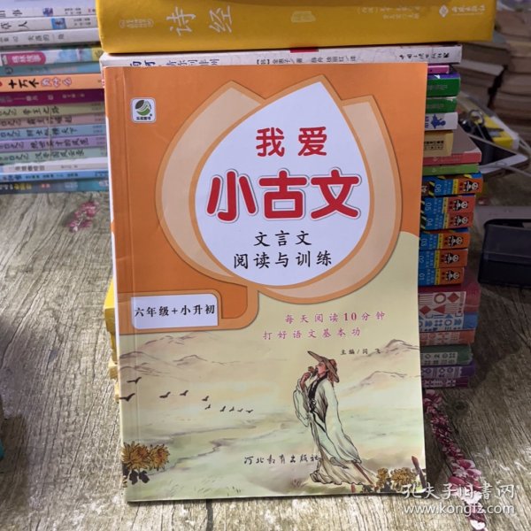 文言文阅读与训练/我爱小古文