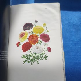 夏花账 3 我的灵魂每天发现一个王国