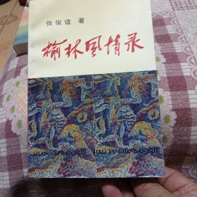 榆林风情录