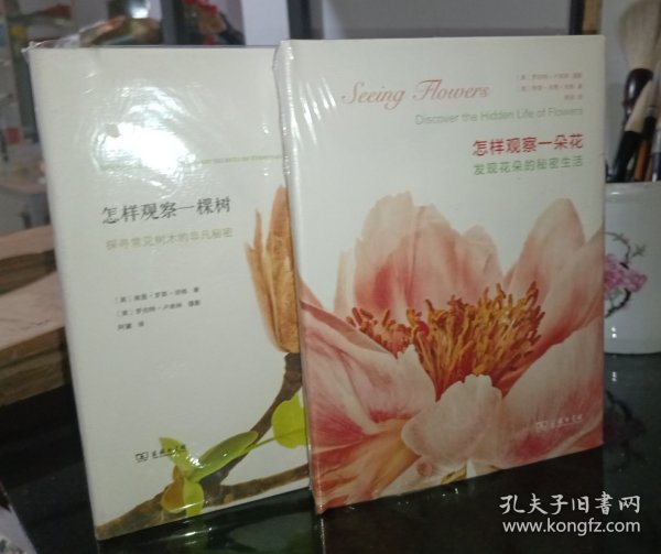 怎样观察一朵花：发现花朵的秘密生活