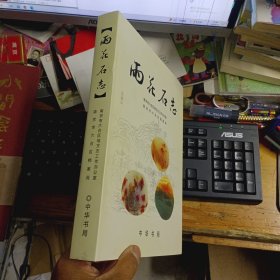雨花石志