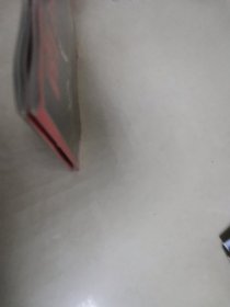 南风窗2024年21—22期两本