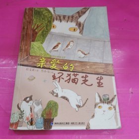 亲爱的坏猫先生－－台湾儿童文学馆.美丽眼睛看世界