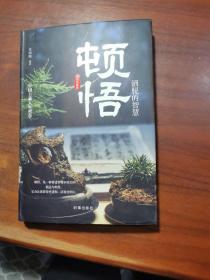 顿悟：洒脱的智慧