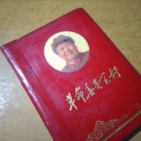 革命委员会好