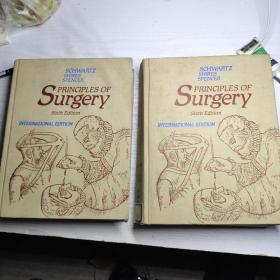 Principles Of Surgery  sixth edition volume1 volume2 page1~2074