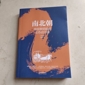 南北朝：帝国黎明前的生存启示录 故事里的中国·乱世三部曲Ⅱ