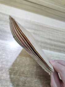 坚强勇敢的越南南方少年阮友充 24102564