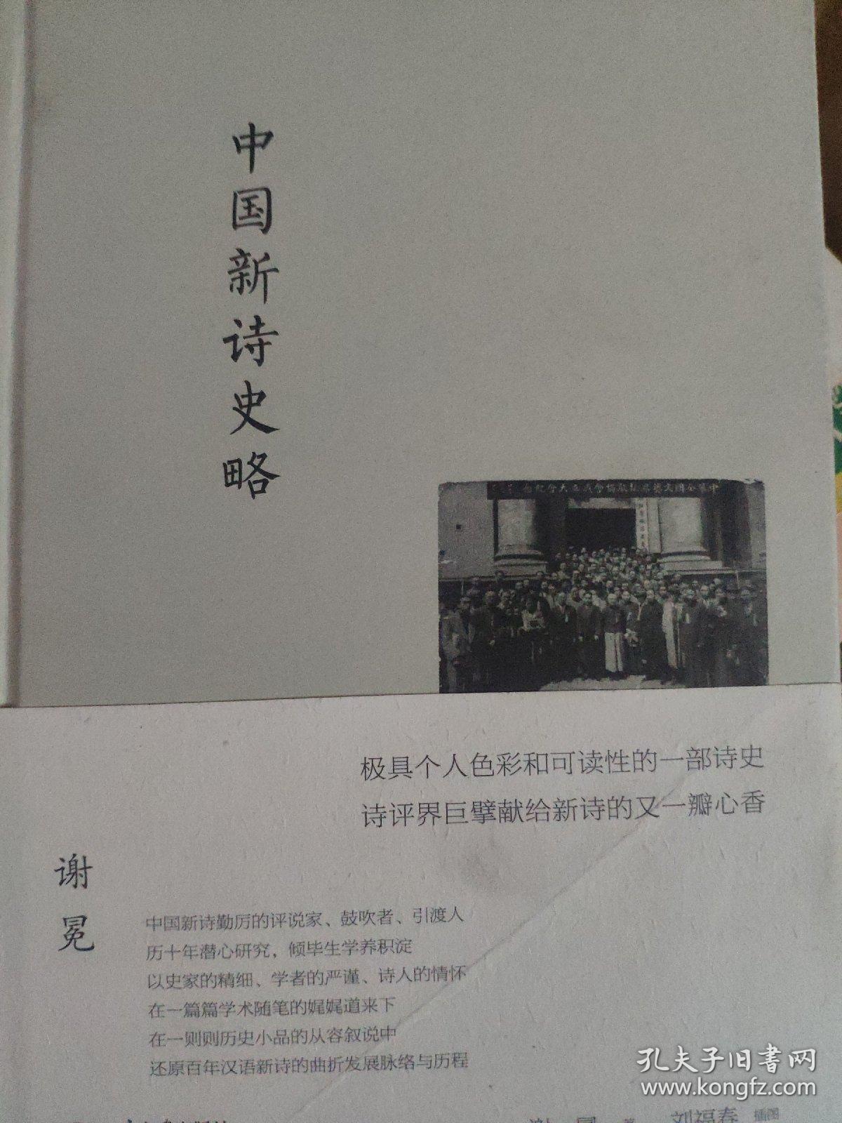 中国新诗史略