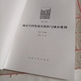 空间研究2：城市空间发展自组织与城市规划