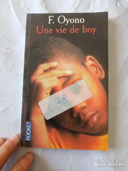 Une vie de boy