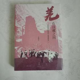 羌在汉藏之间：川西羌族的历史人类学研究（《华夏边缘》作者王明珂经典力作，川西羌族全解）