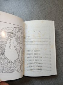 金瓶梅白话全本珍藏本上下册合订