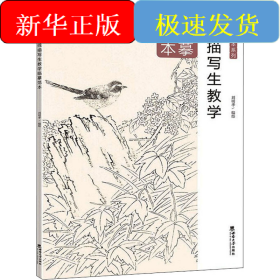 線描寫生教學(xué)臨摹范本