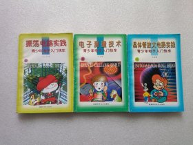 青少年電子入門快車：振蕩電路實踐 + 電子測量技術(shù) + 晶體管放大電路實踐 3本合售