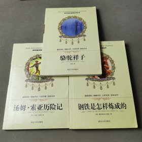 《汤姆索亚历险记》《钢铁是怎样炼成的》《骆驼祥子》（3册合售）