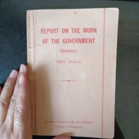 REPORT ON THE WORK OF THE GOVERNMENT