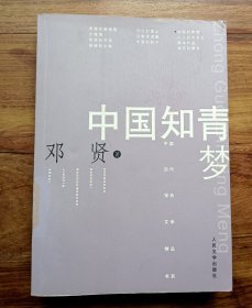 中国知青梦