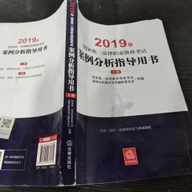 司法考试2019 2019年国家统一法律职业资格考试案例分析指导用书（全2册）