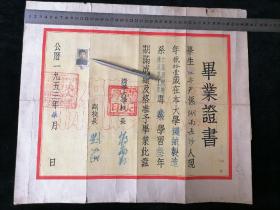 1953年清华大学毕业证书