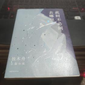 此时不必问去哪里（80后文学领军作家独木舟暌违五年，2020长篇力作）