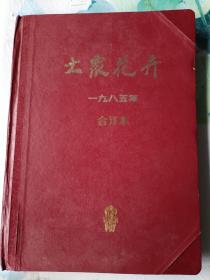 大众花卉1985年合订本