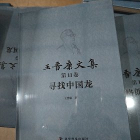 王晋康文集 第十一卷 寻找中国龙
