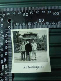 66年北京中山公园留影照片一张，A1