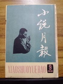 小说月报 1980年全年12期、1981年全年12期（24本合售）