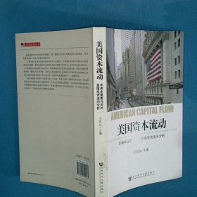 美国资本流动 非成本要素与对外直接投资流向分析