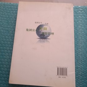 集团公司财务金融管理丛书：集团公司全面预算管理