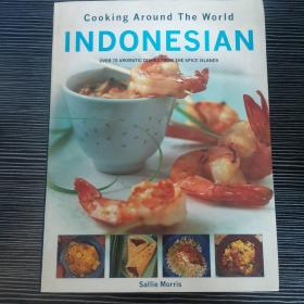 cooking around the world indonesian 外文版