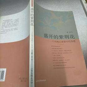 盛开的紫荆花——一个内地记者眼中的香港