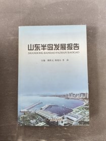 山东半岛发展报告